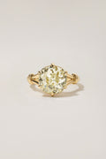 Stretta 3.67